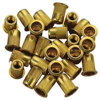 1/4"-20 Zinc-Plated Steel Rivet Nuts - 25Pk